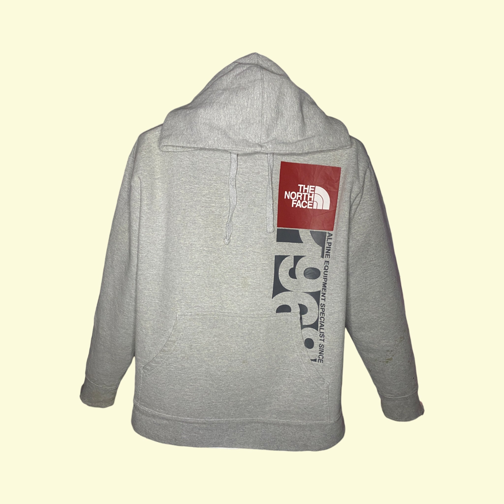 Sudadera con capucha vintage The North Face 