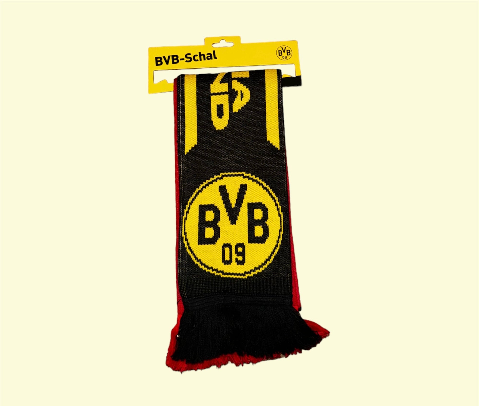 Begegnungsschal BVB - ATM