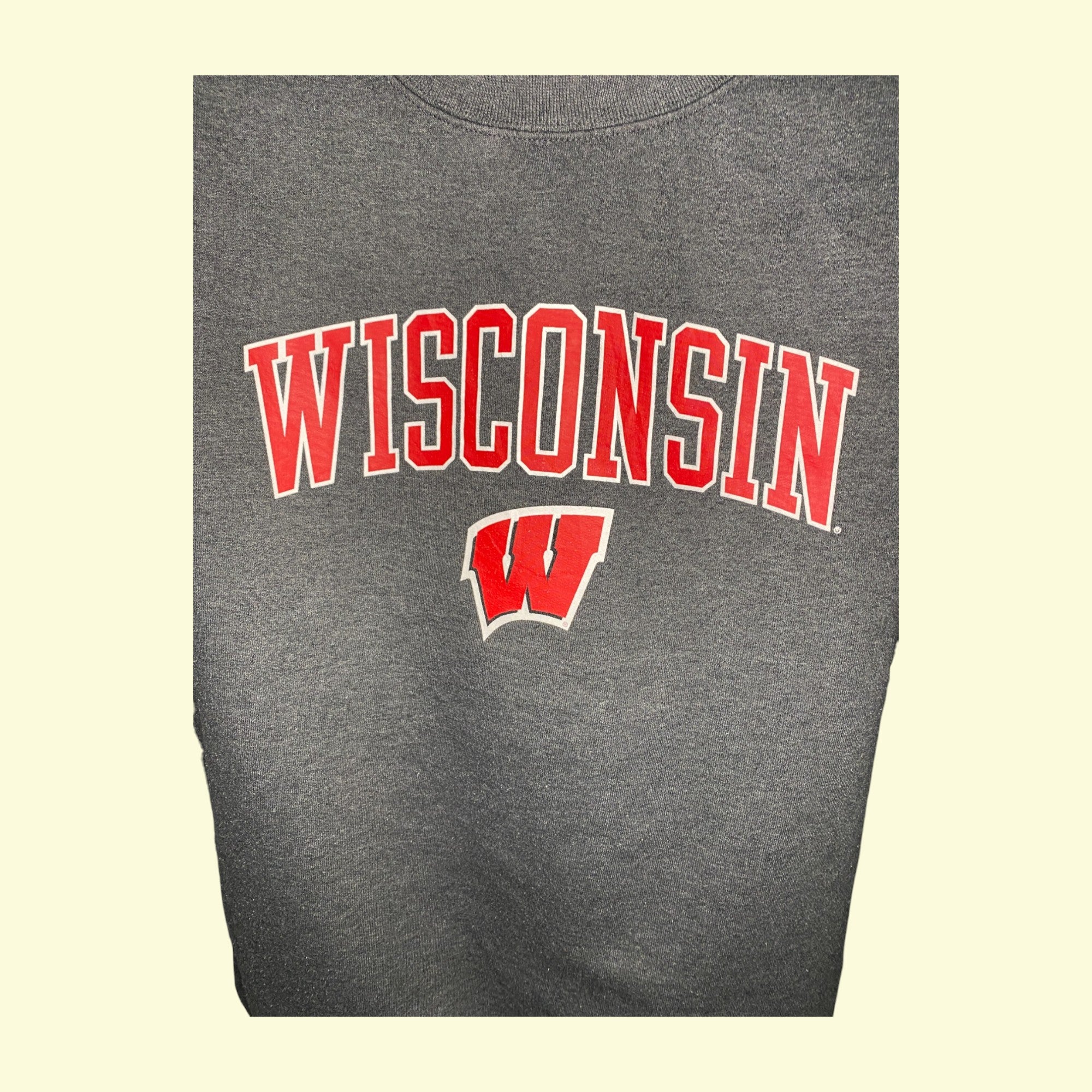 Vintage Sweatshirt University of Wisconsin