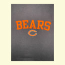 Vintage Kapuzenpullover NFL Chicago Bears