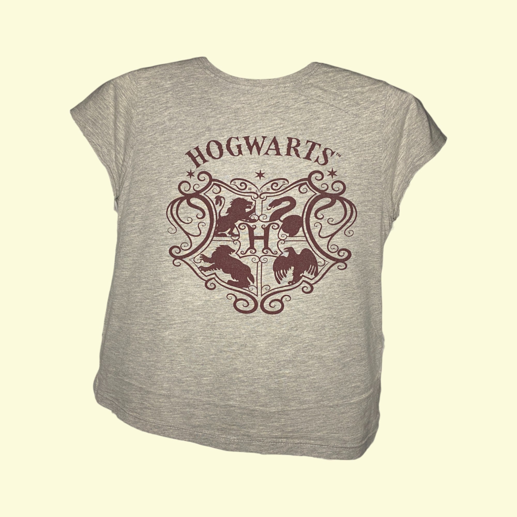 Camiseta Vintage Harry Potter Hogwarts 