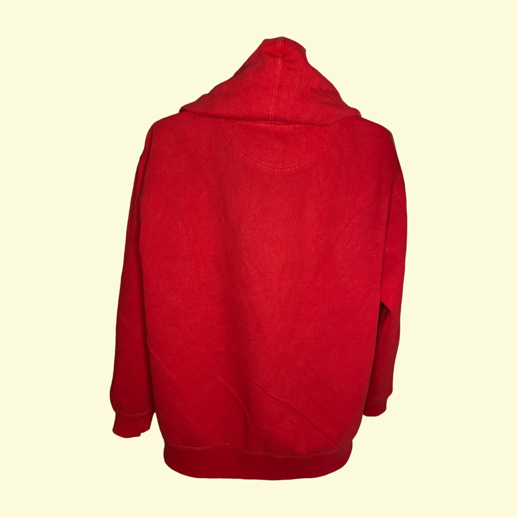 Sudadera con capucha vintage Universidad de Wisconsin